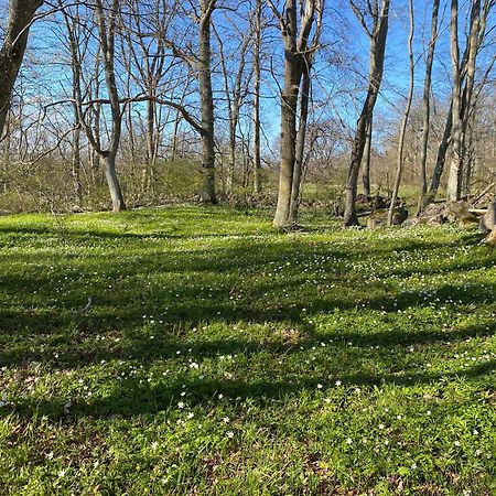 Gard Halltorps Hage Borgholm Esterno foto