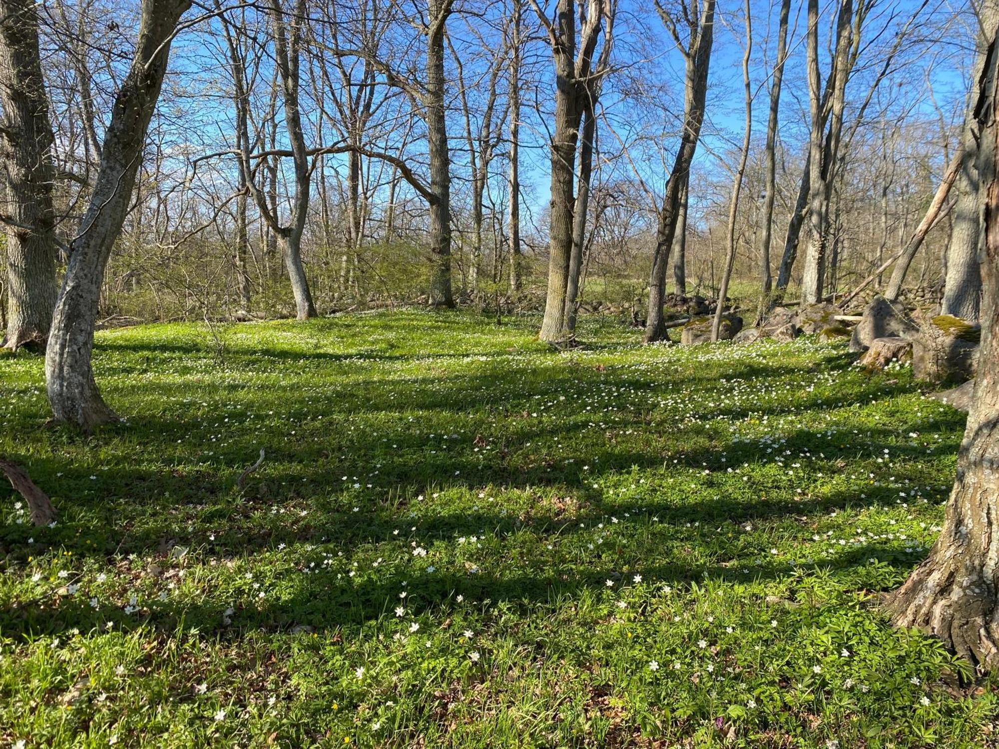 Gard Halltorps Hage Borgholm Esterno foto