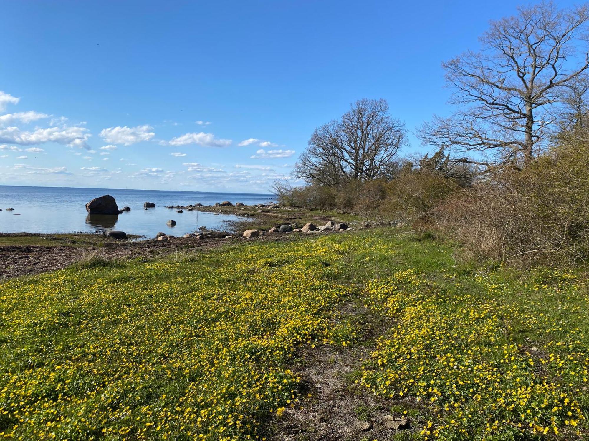 Gard Halltorps Hage Borgholm Esterno foto