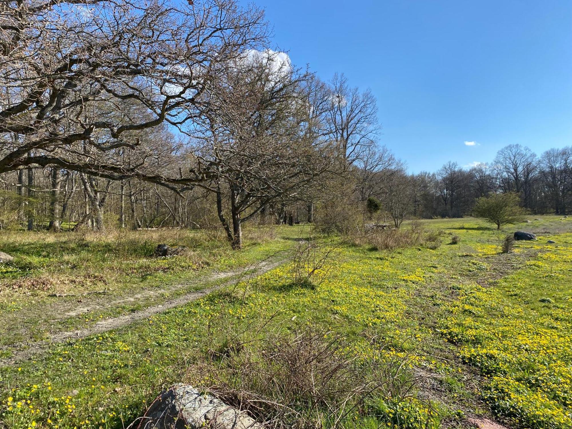 Gard Halltorps Hage Borgholm Esterno foto